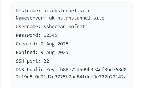 Slow DNS Server Details Example