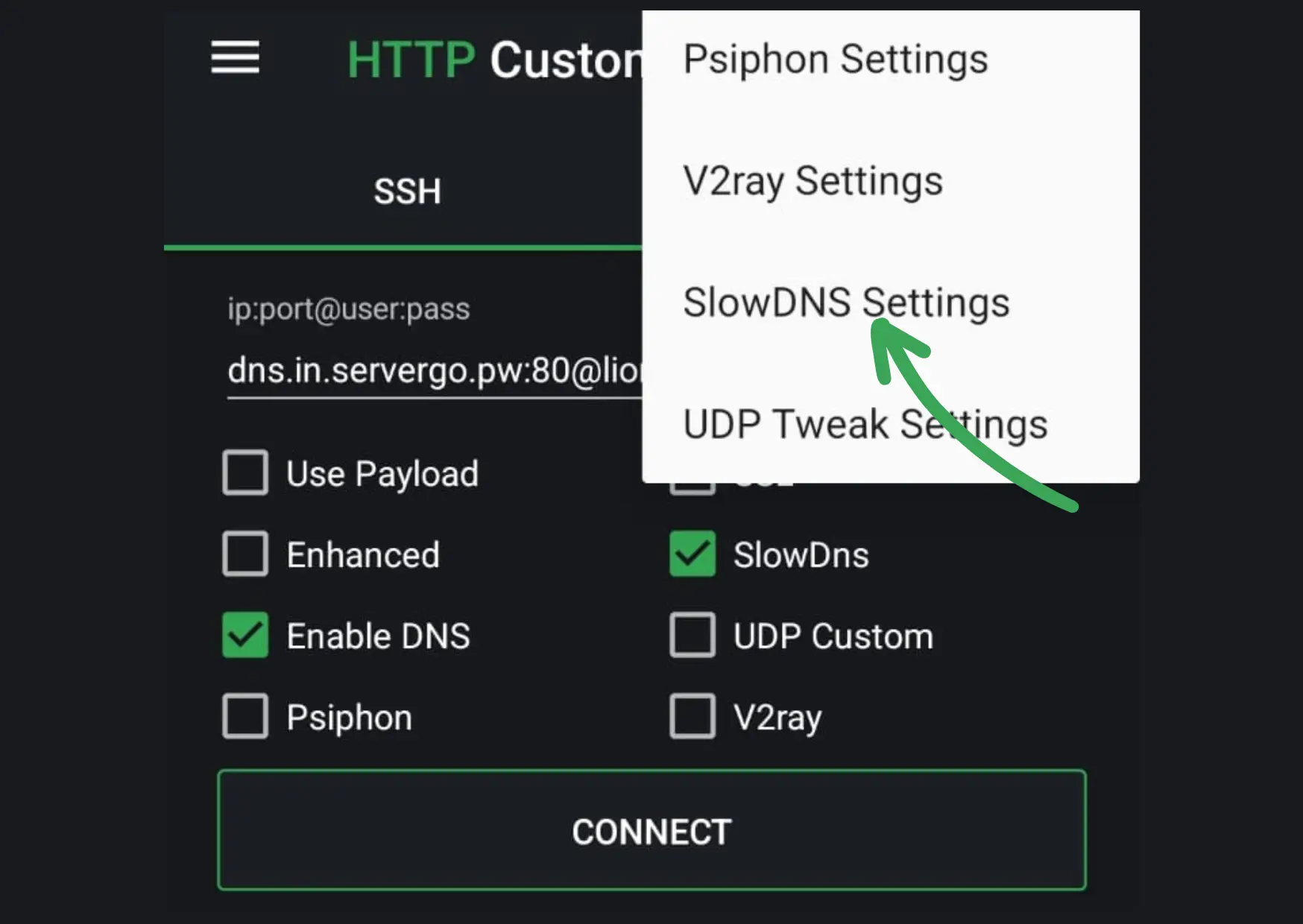 SlowDNS Settings Menu