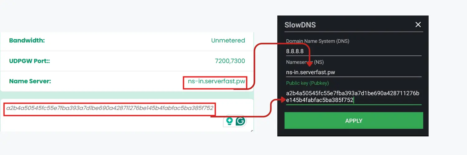 Slow DNS Configuration