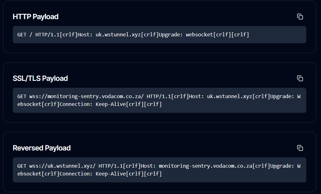 Payload Generator Example