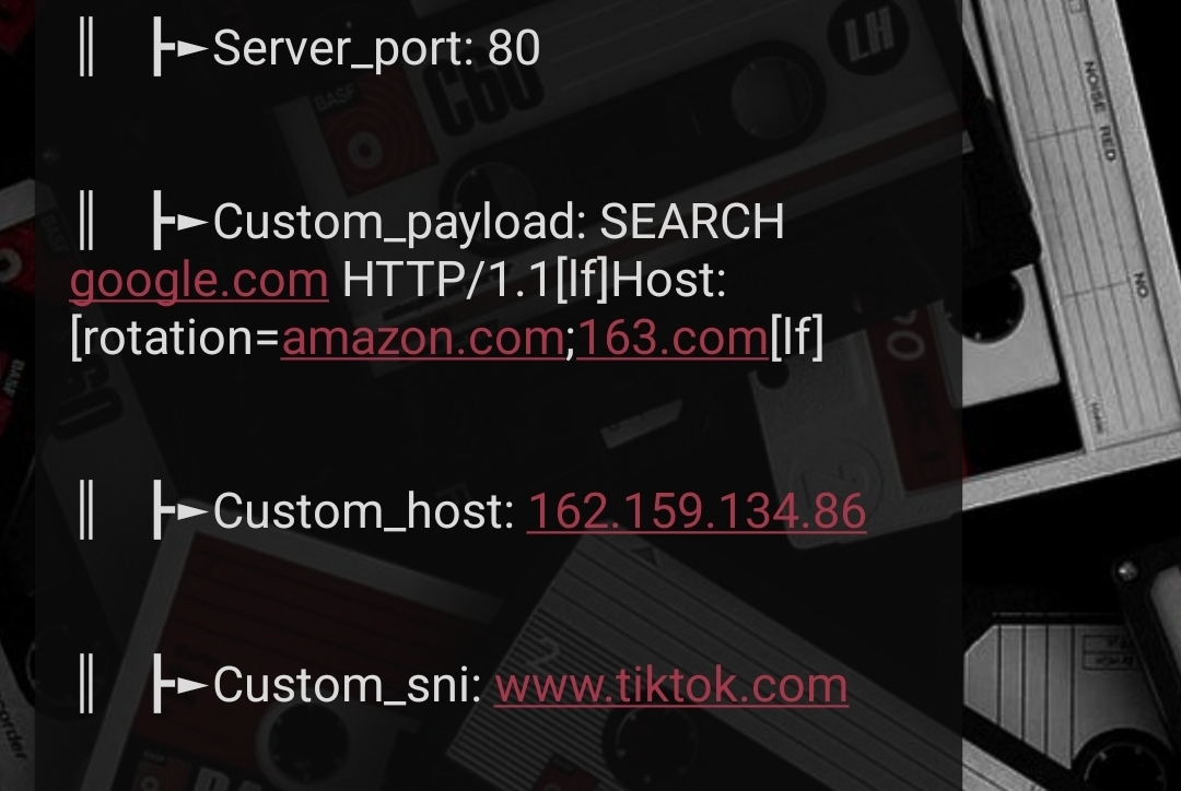 Decrypted result showing SNI and payload