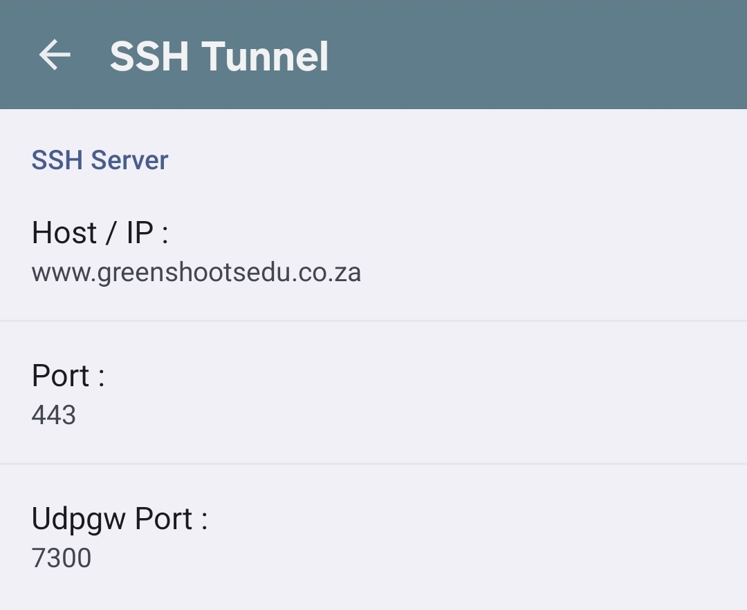 SNI host shown in config